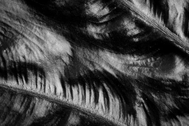 SIRET : comprendre et trouver le numéro d'un établissement